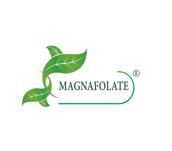 Magnafolate® ແມ່ນຫຍັງ? Folate VS Folic Acid, ມີຄວາມແຕກຕ່າງກັນແນວໃດ?