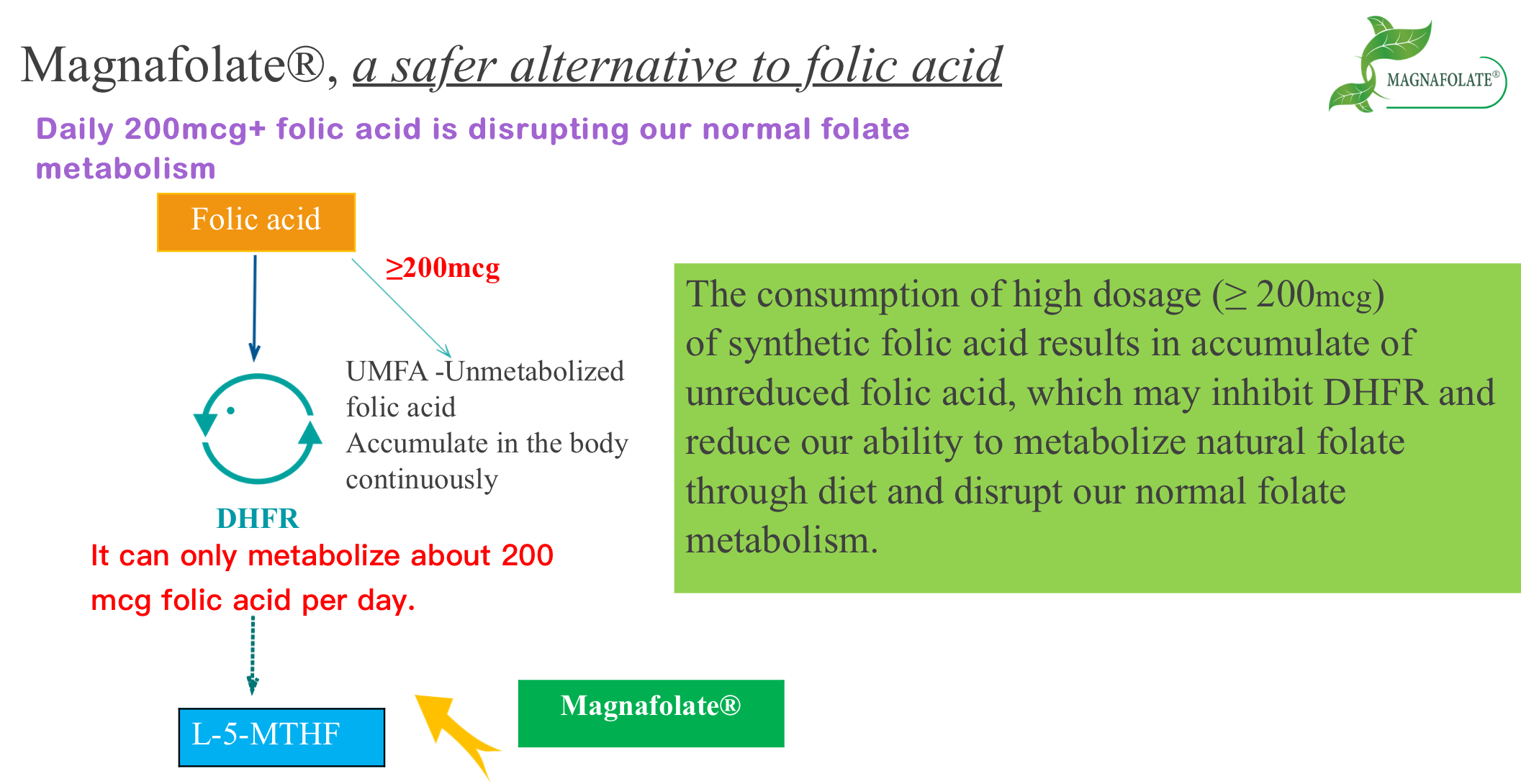 Magnafolate, ເປັນທາງເລືອກທີ່ປອດໄພກວ່າກັບອາຊິດໂຟລິກ