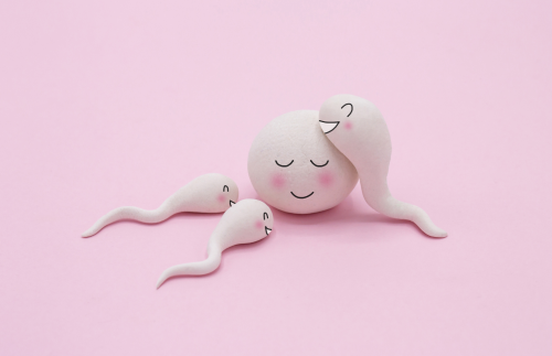 ອາຊິດໂຟລິກອາດຈະປັບປຸງການຈະເລີນພັນ - Magnafolate