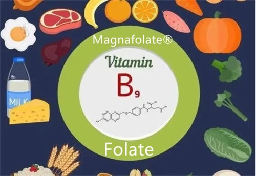 ພະຍາດເລືອດຈາງຂາດ folate ແມ່ນຫຍັງ?