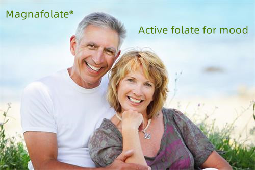 ຜູ້ສູງອາຍຸ dementia ກັບ folate