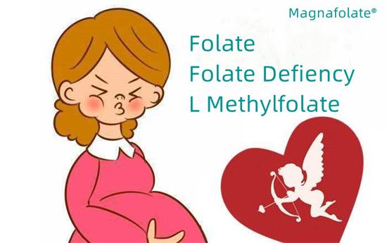 ການຂາດສານອາຫານ Folate ແລະ Folate