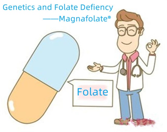 ພັນທຸ ກຳ ແລະ Folate Defiency-Magnafolate