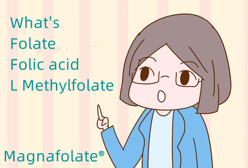 ໂຟເລດ ແລະອາຊິດໂຟລິກ ແລະ L Methylfolate ແມ່ນຫຍັງ?