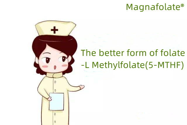 Folate ແລະ L-Methylfolate ສໍາລັບສຸຂະພາບຂອງສະຫມອງ