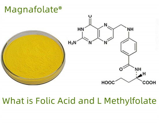ໂຟເລດ VS ອາຊິດໂຟລິກ VS L-methylfolate ແມ່ນຫຍັງ