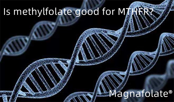 methylfolate ແມ່ນດີສໍາລັບ MTHFR ບໍ?