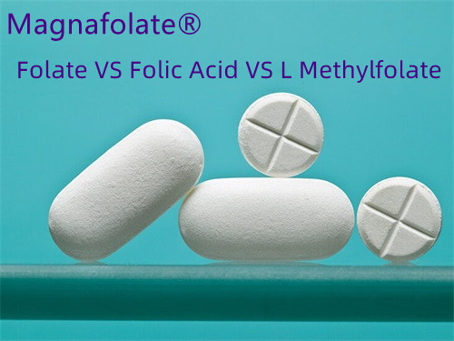 ອາຊິດໂຟລິກທຽບກັບ Folate: ອັນໃດດີກວ່າ?