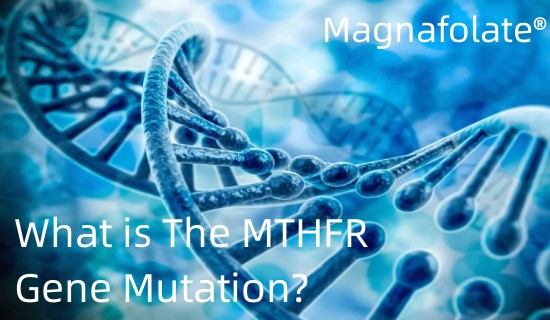 MTHFR Gene Mutation ແມ່ນຫຍັງ?