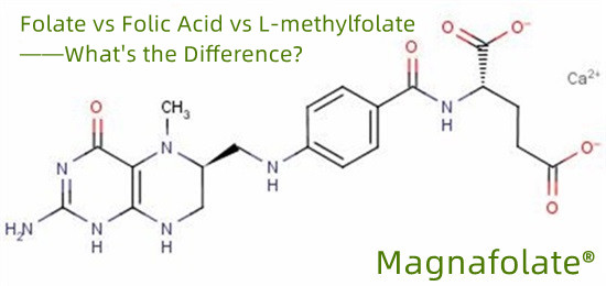 methylfolate ແມ່ນຮູບແບບຂອງອາຊິດໂຟລິກບໍ?