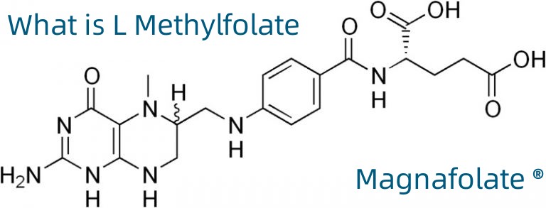 L Methylfolate ແມ່ນຫຍັງ?