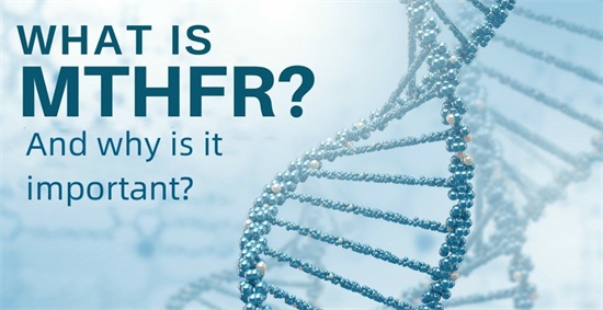 MTHFR ແມ່ນຫຍັງ ແລະເປັນຫຍັງມັນຈຶ່ງສຳຄັນ