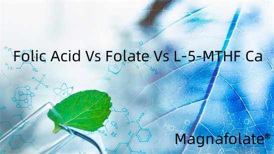 ອາຊິດໂຟລິກ Vs ໂຟເລດ Vs L-5-MTHF Ca