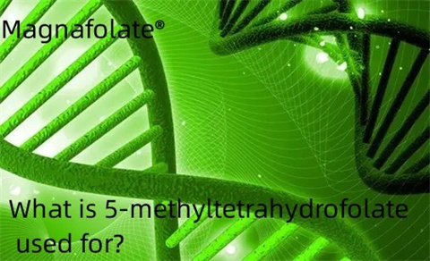 5-methyltetrahydrofolate ໃຊ້ເພື່ອຫຍັງ?