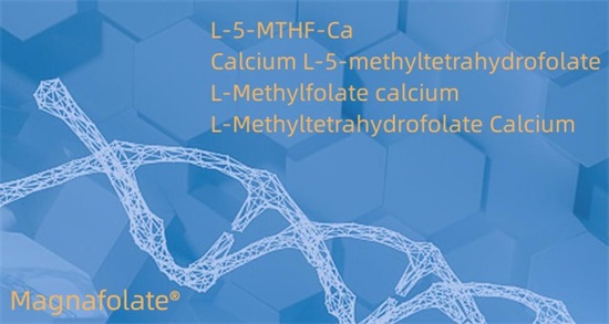 ແຄຊຽມ L-5-methyltetrahydrofolate Cas151533-22-1
