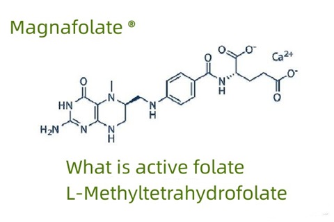 ໂຟເລດ ແລະ L-Methyltetrahydrofolate ມີການເຄື່ອນໄຫວແມ່ນຫຍັງ