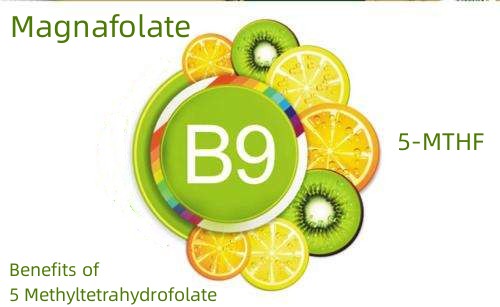 ຜົນປະໂຫຍດຂອງ 5 Methyltetrahydrofolate