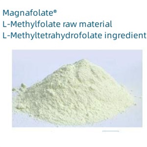 Calcium L-5-methylfolate ຕົວກໍານົດການທີ່ສໍາຄັນແລະການແນະນໍາ