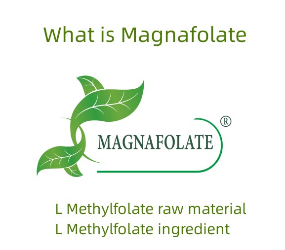 Magnafolate ແມ່ນຫຍັງ?