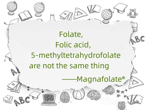 ໂຟເລດ, ອາຊິດໂຟລິກ ແລະ 5-methyltetrahydrofolate ບໍ່ແມ່ນສິ່ງດຽວກັນ