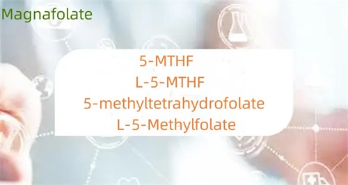 ຄວາມແຕກຕ່າງລະຫວ່າງ 5-methyltetrahydrofolate ແລະ folate ແມ່ນຫຍັງ