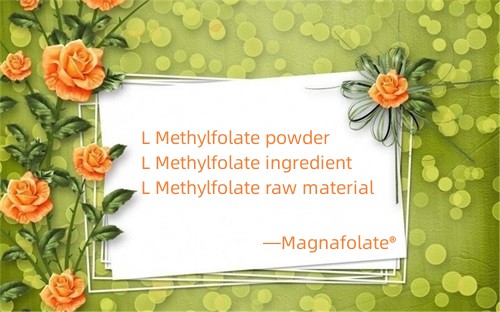ຜົງ L-5-Methyltetrahydrofolate CAS 151533-22-1