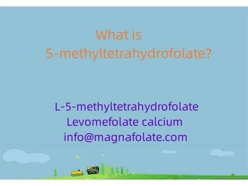 5-methyltetrahydrofolate ແມ່ນຫຍັງ?