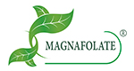 Magnafolate® VS ອາຊິດໂຟລິກ