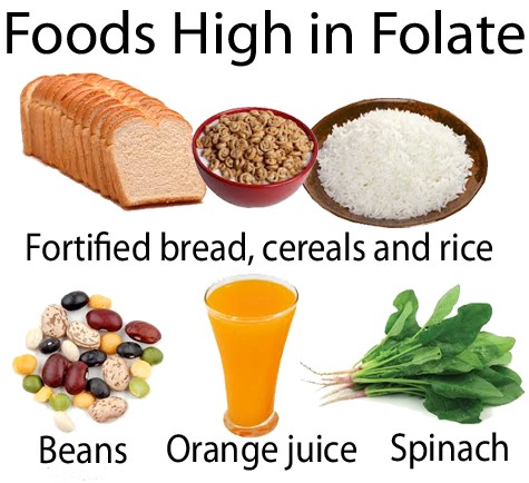 ການຈັດປະເພດຂອງ Folate - ອາຫານ Folate