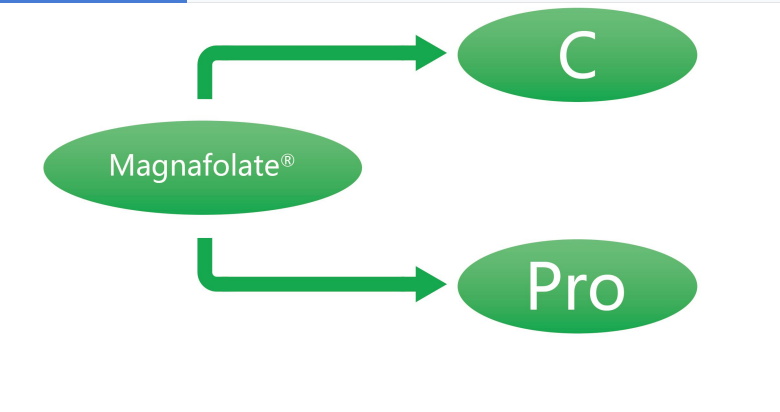 Magnafolate C ແລະ Pro—L-Methylfolate Calcium